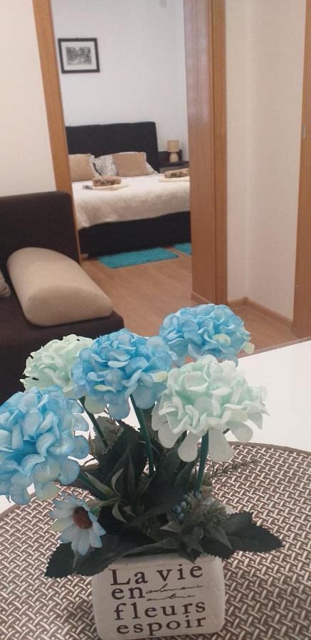Apartman Golubovic Veliko Gradiste Exterior photo